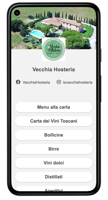 Menu su smartphone esempio (indice menu)