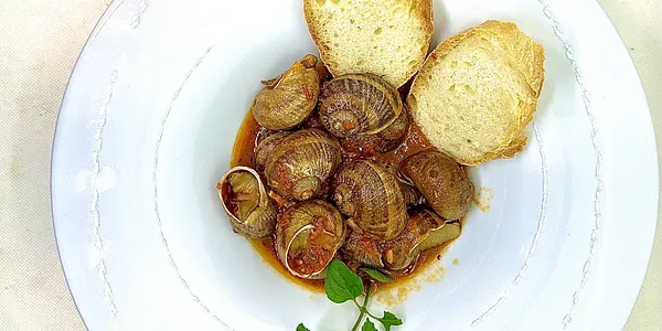Lumache Rigatella con pancetta nostrana in umido