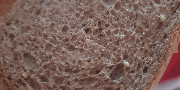 Pane integrale 