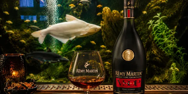 Remy Martin v.s.o.p