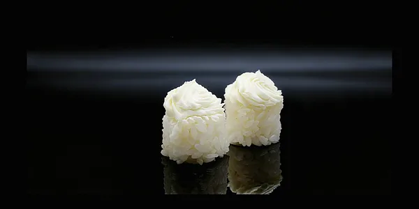 47. Gunkan white 