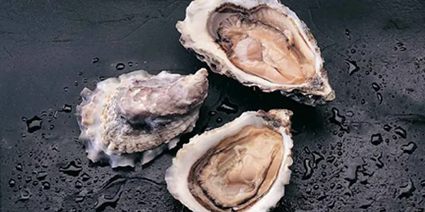 OSTRAS / OYSTER ( 2 PIEZAS / 2 PIECES ) Proximamente