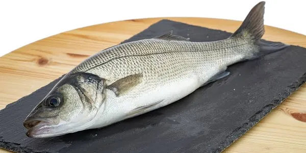 Pescato locale nel Golfo di Oristano