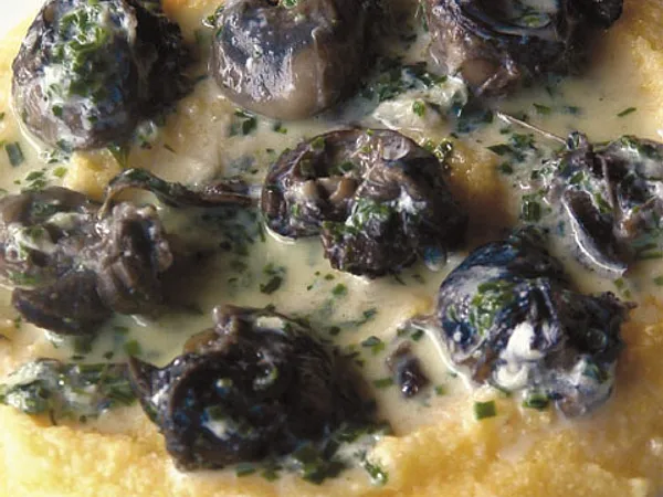 Lumache trifolate con polenta taragna *