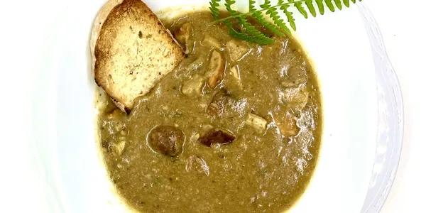 Zuppa di porcini freschi 