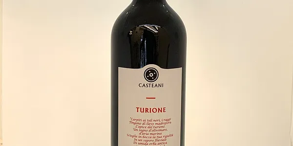 Turione