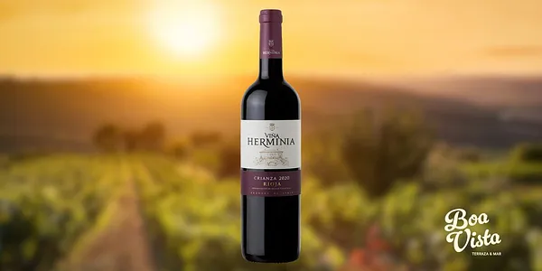 B. Viña Herminia Crianza 2020 D.O Rioja