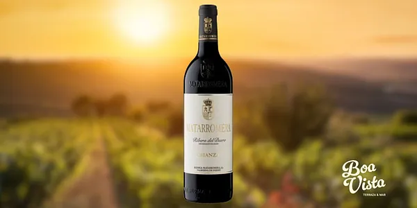B. Matarromera D.O Ribera del Duero
