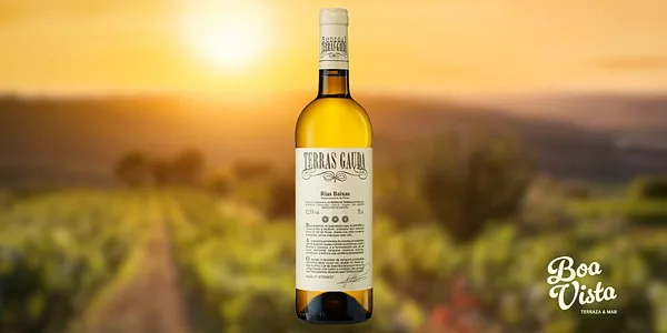 B. Terras Gauda D.O Albariño Rias Baixas
