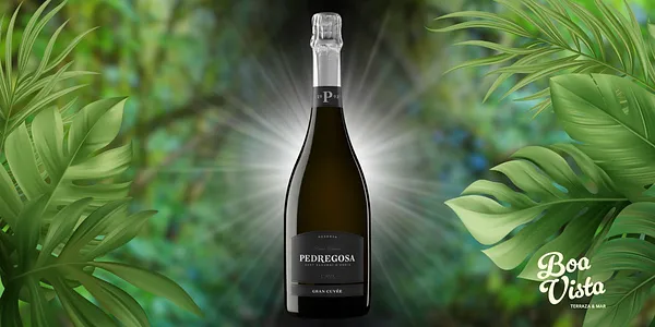 B. Pedregosa Gran Cuvée 